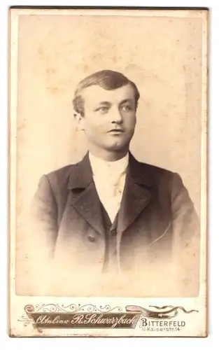 Fotografie R. Schwarzbach, Bitterfeld, Kaiserstrsase 14, Portrait junger Mann im Anzug mit Krawatte