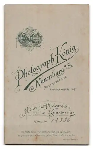 Fotografie Carl König, Naumburg a /S., Portrait eleganter Herr mit Oberlippenbart