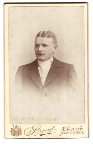 Fotografie P. Strnad, Erfurt, Neuwerk-Strasse 9, Portrait junger Mann im Anzug mit Krawatte