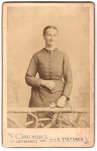 Fotografie Josef Weiss, Leitmeritz, Jesuitengasse, Ältere Dame in grauem Kleid posiert vor einer Naturkulisse