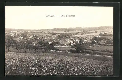 AK Stigny, Vue générale