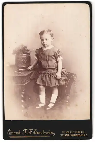 Fotografie E.T.F. Goudwin, London, 63 Anerley Road, Portrait niedliches Mädchen im Kleidchen