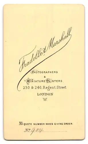 Fotografie Fradelle & Marshall, London, 230 & 246 Regent Street, Portrait dunkelhaariges Fräulein in bestickter Bluse