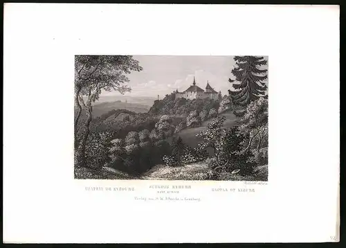 Stahlstich Schloss Kyburg, Kanton Zürich, Stahlstich von Rüdisühli um 1865, 31.5 x 23cm