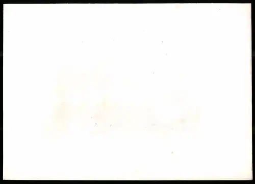 Stahlstich Aegerisee, Kanton Zug, Stahlstich von Rüdisühli um 1865, 31.5 x 23cm