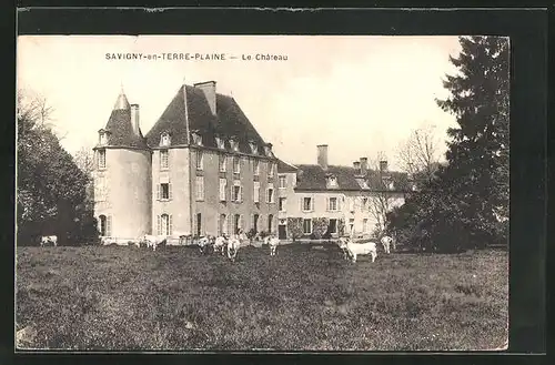 AK Savigny-en-Terre-Plaine, Le Château