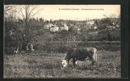 AK St. Fargeau, Perspective sur la ville