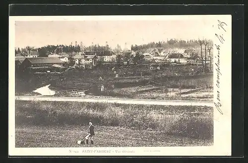 AK Saint-Fargeau, Vue generale