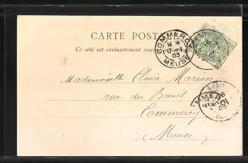 AK Saint-Fargeau, Vue generale