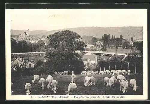 AK Villeneuve-sur-Yonne, Vue générale prise du Chemin des Moulins