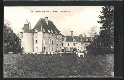 AK Savigny-en-Terre-Plaine, Le Château