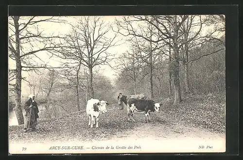 AK Arcy-sur-Cure, Chemin de la Grotte des Prés