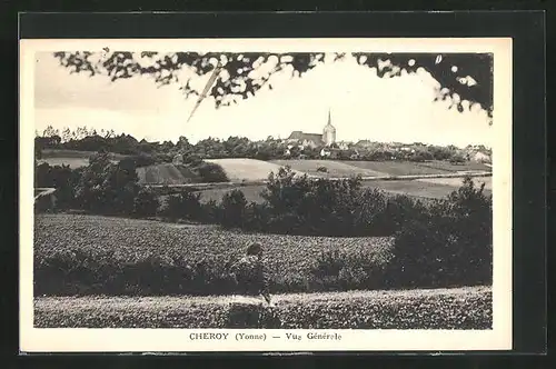 AK Cheroy, Vue générale