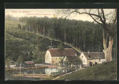 AK Eisenberg /Thür., Partie im Mühltal, Naupold`s Mühle