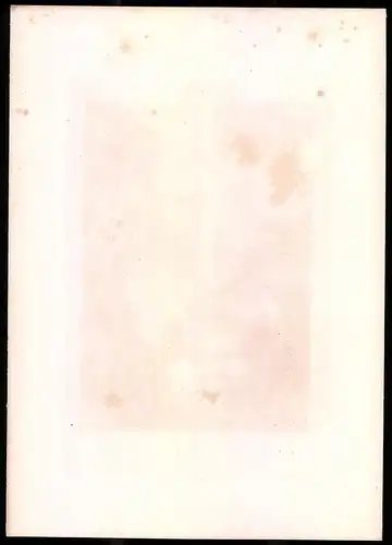 Stahlstich Via-Mala, Kanton Graubünden, Stahlstich von Rüdisühli um 1865, 31.5 x 23cm
