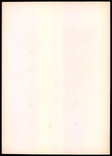 Stahlstich Linthschlucht, Kanton Glarus, Stahlstich von Rüdisühli um 1865, 31.5 x 23cm