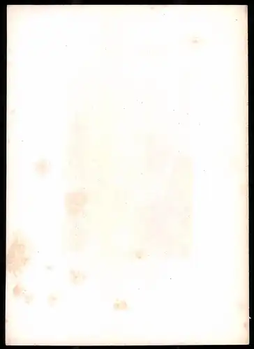 Stahlstich Reichenbach, Stahlstich von Rüdisühli um 1865, 31.5 x 23cm