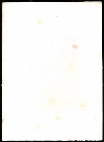 Stahlstich Wildkirchen, Kanton Appenzell, Stahlstich von Rüdisühli um 1865, 31.5 x 23cm