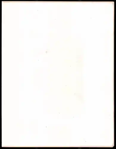 Stahlstich Hallstadt, Stahlstich um 1870 aus Ruthner Kaiserthum Österreich, 32 x 25cm