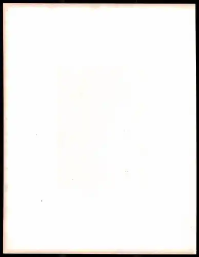 Stahlstich Innere des St. Stephansdomes, Stahlstich um 1870 aus Ruthner Kaiserthum Österreich, 32 x 25cm