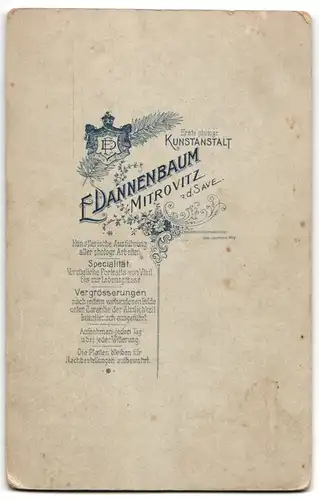 Fotografie E. Dannenbaum, Mitrovitz / Save, Junge neben Jesusbild mit Hand auf Bibel und Rosenkranz