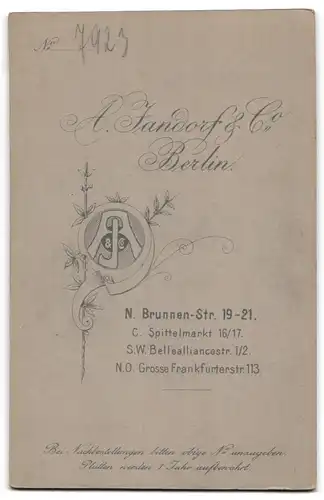 Fotografie A. Jandorf & Co, Berlin, Brunnen-Str. 19-21, Bruder und Schwester in schicken Kleidern
