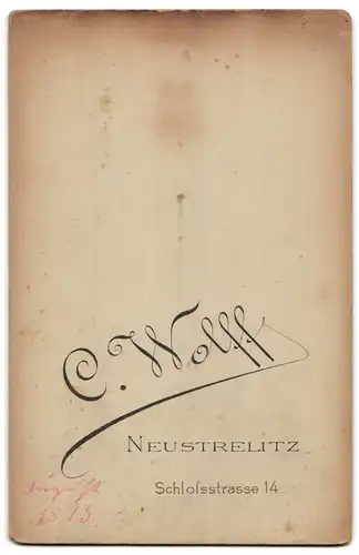 Fotografie C. Wolff, Neustrelitz, Schlossstr. 14, Junge Frau in schwarzem Kleid