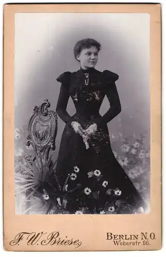 Fotografie F. W. Briese, Berlin-NO, Weberstrasse 66, Portrait junge Dame im eleganten Kleid