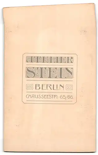 Fotografie Wilhelm Stein, Berlin, Chausseestr. 65 /66, Portrait hübsche Dame mit gerüschtem Blusenkragen