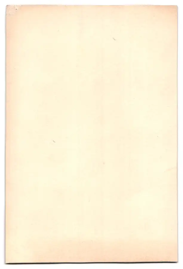 18 Fotografien, Köln, Portrait Büste Carl Aldenhoven, Wohnräume, Umfeld von Carl Aldenhoven, 3 Fotos auf Zelluloid 24