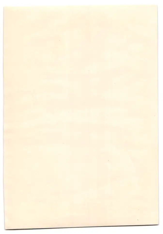 18 Fotografien, Köln, Portrait Büste Carl Aldenhoven, Wohnräume, Umfeld von Carl Aldenhoven, 3 Fotos auf Zelluloid 31