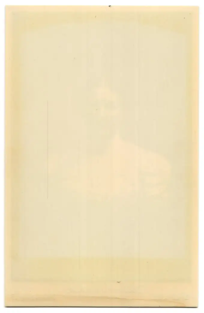 18 Fotografien, Köln, Portrait Büste Carl Aldenhoven, Wohnräume, Umfeld von Carl Aldenhoven, 3 Fotos auf Zelluloid 33