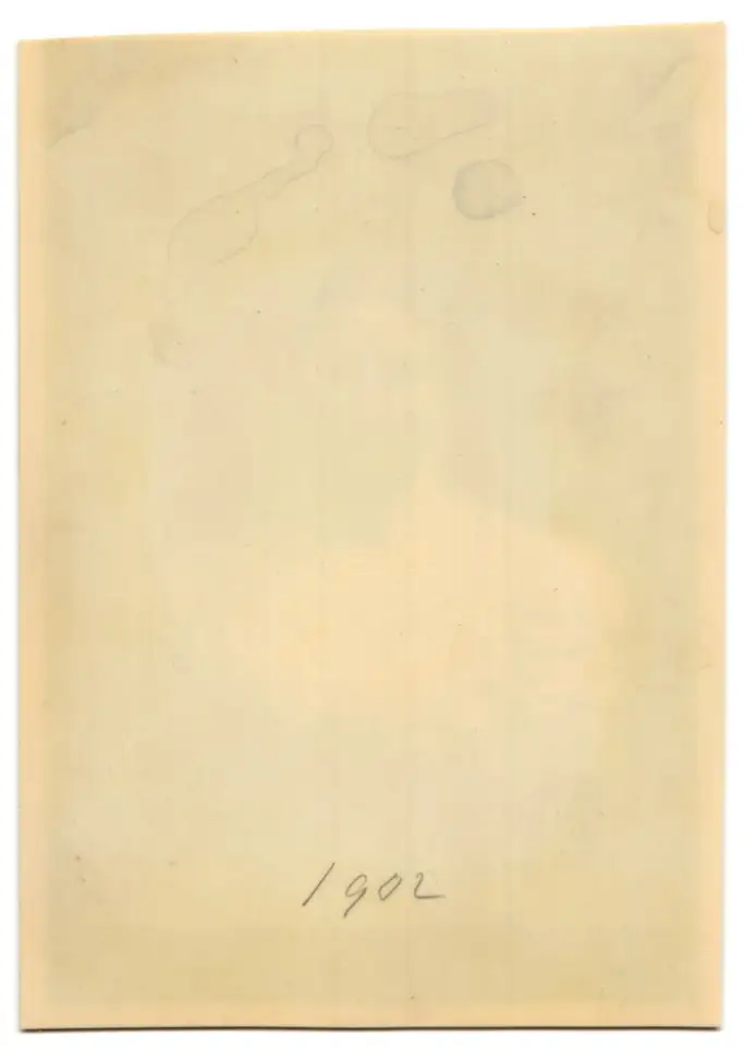 18 Fotografien, Köln, Portrait Büste Carl Aldenhoven, Wohnräume, Umfeld von Carl Aldenhoven, 3 Fotos auf Zelluloid 34