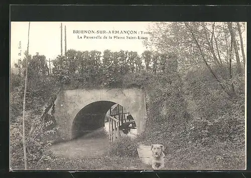 AK Brienon-sur-Armancon, La Passerelle de la Plaine Saint-Loup