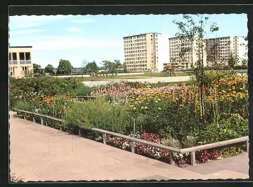 AK Norrköping, Ljuraparken