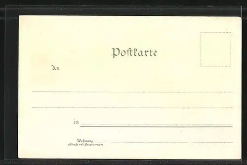 Lithographie Halle a/S., Saaleblick v. Trothaerfelsen, Promenade v. Post & Klinische Anstalten