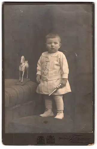 Fotografie Franz Tellgmann, Mühlhausen i. Thür., Portrait hübsch gekleideter Junge mit Tröte und Spielzeugpferd