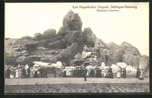 AK Hamburg-Stellingen, Carl Hagenbeck`s Tierpark, Nordisches Panorama