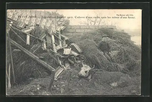 AK Petit-Noir, Inondations Janiver 1910, Cadavre d`une vache sous les ruines d`une ferme, Hochwasser