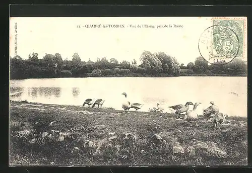 AK Quarré-les-Tombes, Vue de l*Etang, pris de la Route