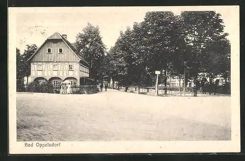 AK Bad Oppelsdorf, Strassenpartie