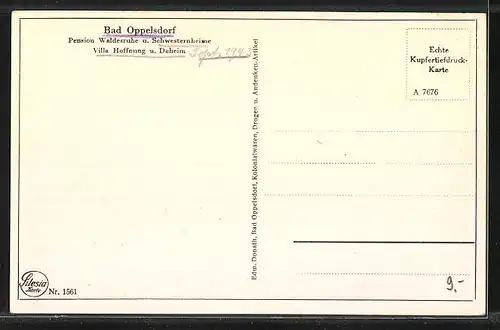 AK Bad Oppelsdorf, Pension Waldesruhe u. Schwesternheime Villa Hoffnung u. Daheim