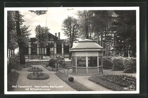 AK Bad Oppelsdorf, Park-Cafe Stahlquelle mit Wilhelmsbrunnen