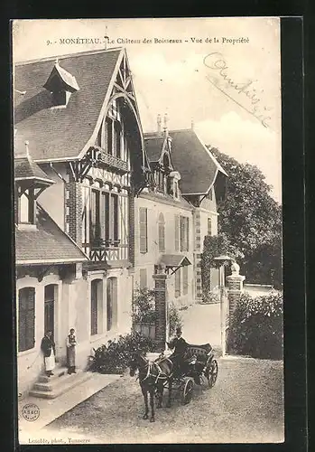 AK Monèteau, La Chateau des Boisseaux - Vue de la Propriète