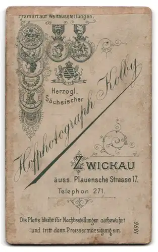 Fotografie Atelier Kolby, Zwickau i. S., Äussere Plauensche Str. 17, Portrait junger Mann mit Krawatte im Jackett