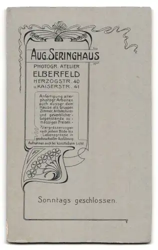 Fotografie Aug. Seringhaus, Elberfeld, Herzogstr. 40, Portrait brünette Schönheit im bestickten Kleid