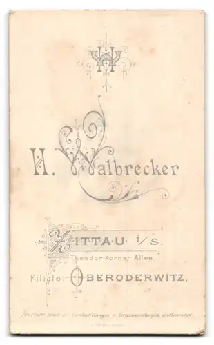 Fotografie H. Walbrecker, Zittau i. S., Theodor-Körner-Allee, Portrait niedlich blickender Bube im Matrosenanzug