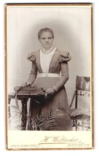 Fotografie H. Walbrecker, Zittau i. S., Breite Str. 9, Portrait bildschönes Fräulein mit Halskette im Kleid