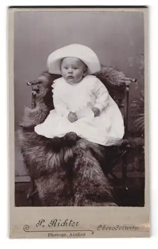 Fotografie P. Richter, Oberoderwitz, Portrait süsses Kleinkind in weissem Hut und Kleid auf Fell sitzend