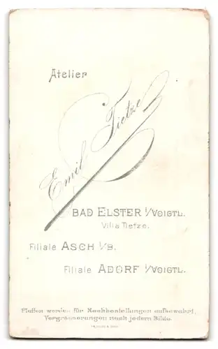 Fotografie Emil Tietze, Bad Elster i. V., Portrait bildschönes Fräulein in bestickter Bluse